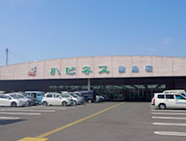 霧島店