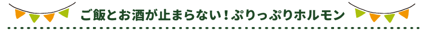 ご飯とお酒が止まらない！ぷりっぷりホルモン