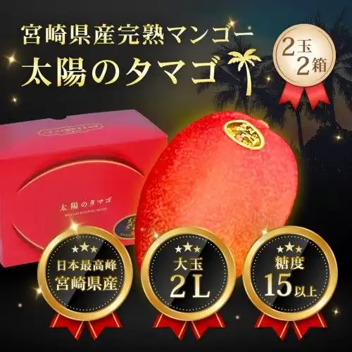 宮崎県産 太陽のタマゴ 2L×2玉×2箱セット 大玉