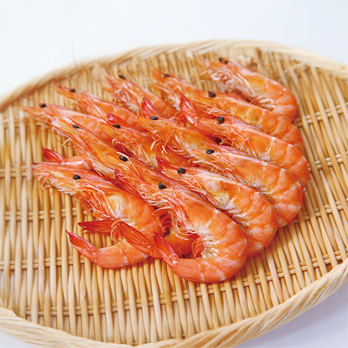 【業務用】ノースイ 有頭ボイル海老活〆海老一番 500g