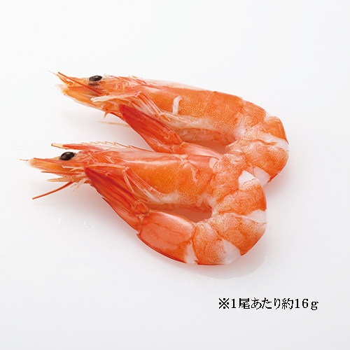 【業務用】ノースイ 有頭ボイル中むき海老生食用 500g(30尾)