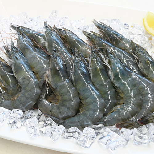 ニチレイ ぷるるん生えび 生食用 30尾