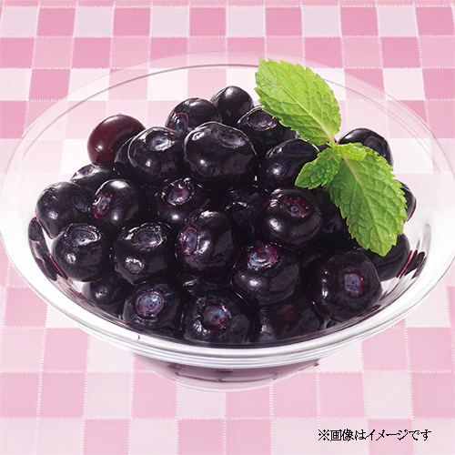 【業務用】ノースイ ブルーベリー 500g