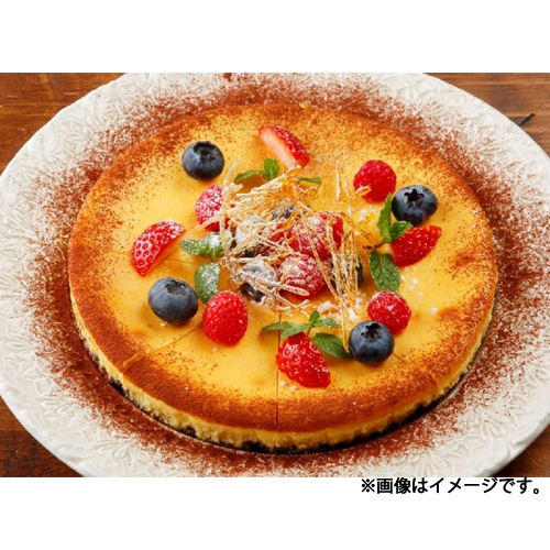 【業務用】 日東ベスト ジョイグルメホールタルトベイクドチーズ 360g