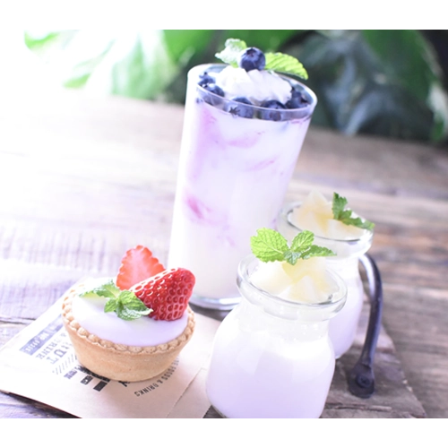 【業務用】ジーエスフード 牛乳とまぜて作るムースベース プレーン 500ml