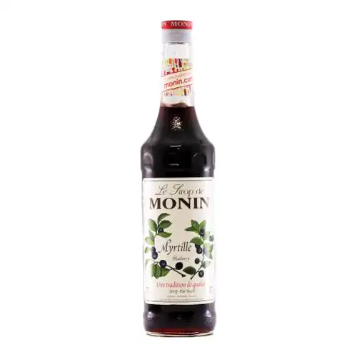 【業務用】 モナン ブルーベリーシロップ 700ml