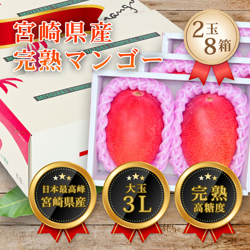宮崎県産 完熟マンゴー 3L×2玉×8箱セット