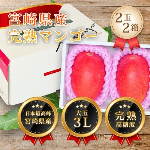 宮崎県産 完熟マンゴー 3L×2玉×2箱セット