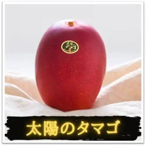 収穫について