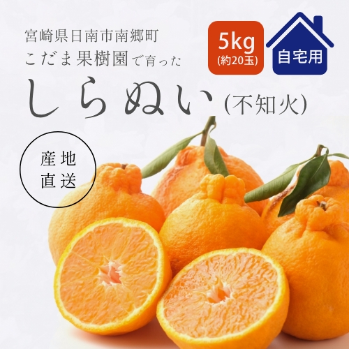 宮崎県産 しらぬい(自宅用) 5kg(20玉)