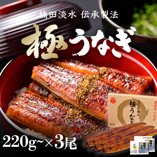 極うなぎ 蒲焼き3尾セット(特大)