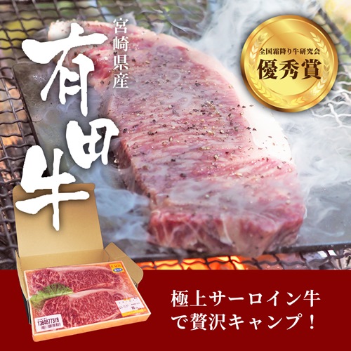 有田牧畜 宮崎有田牛サーロインステーキ 250g×2