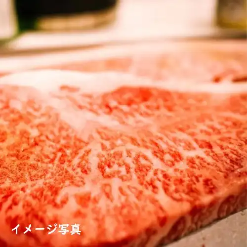 有田牧畜 宮崎有田牛サーロインステーキ 250g×2