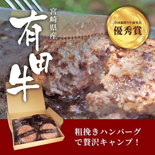 有田牧畜 宮崎有田牛ハンバーグ5個セット 150g×5