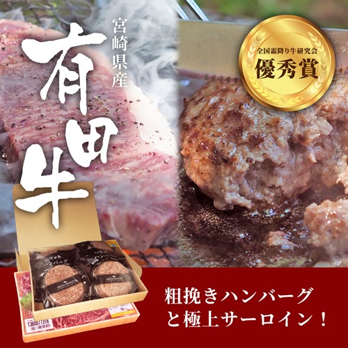 有田牧畜 宮崎有田牛サーロインステーキ 250g×2＆ハンバーグ 150g×5