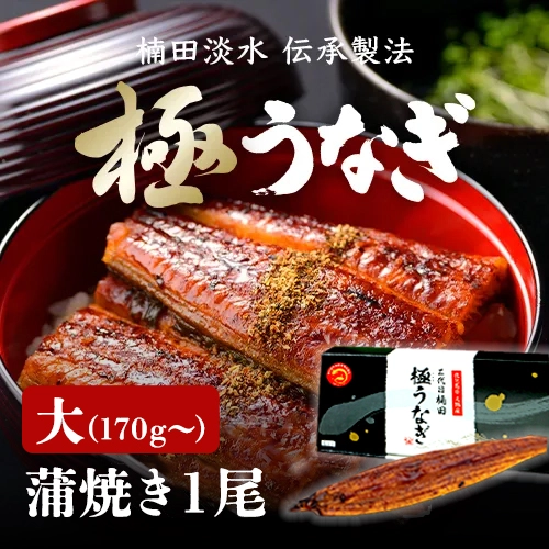 鹿児島県産 極うなぎ 蒲焼き 大(170~189g)×1尾