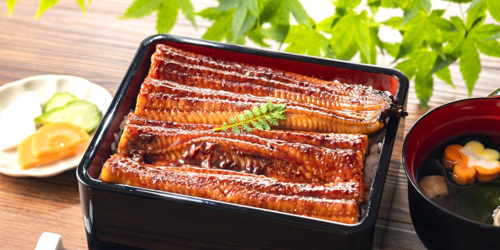 土用の丑の日、おいしい鰻の食べ方や由来を解説！