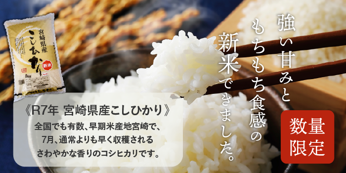 宮崎県産こしひかり　早期米　早場米