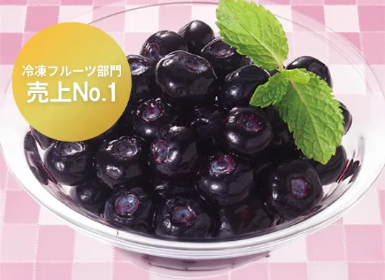 ノースイ ブルーベリー 500g