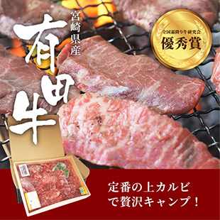 有田牧畜 宮崎有田牛上 カルビ 500g